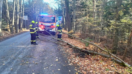 c0330d28-ef65-461d-a650-e11de69cf13b