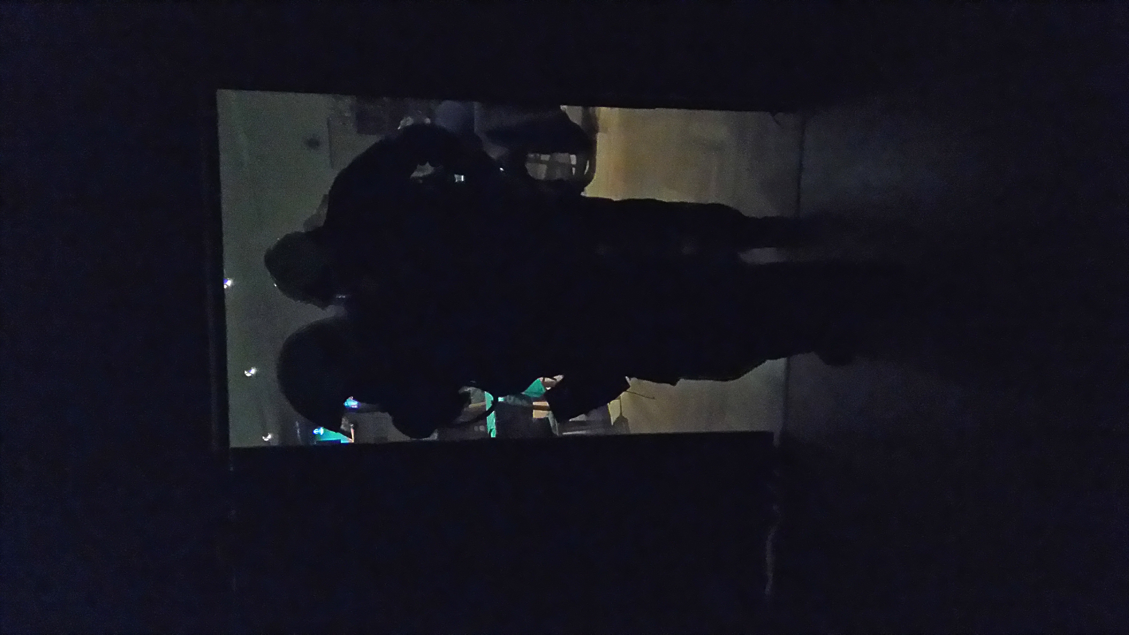 DSC_0111