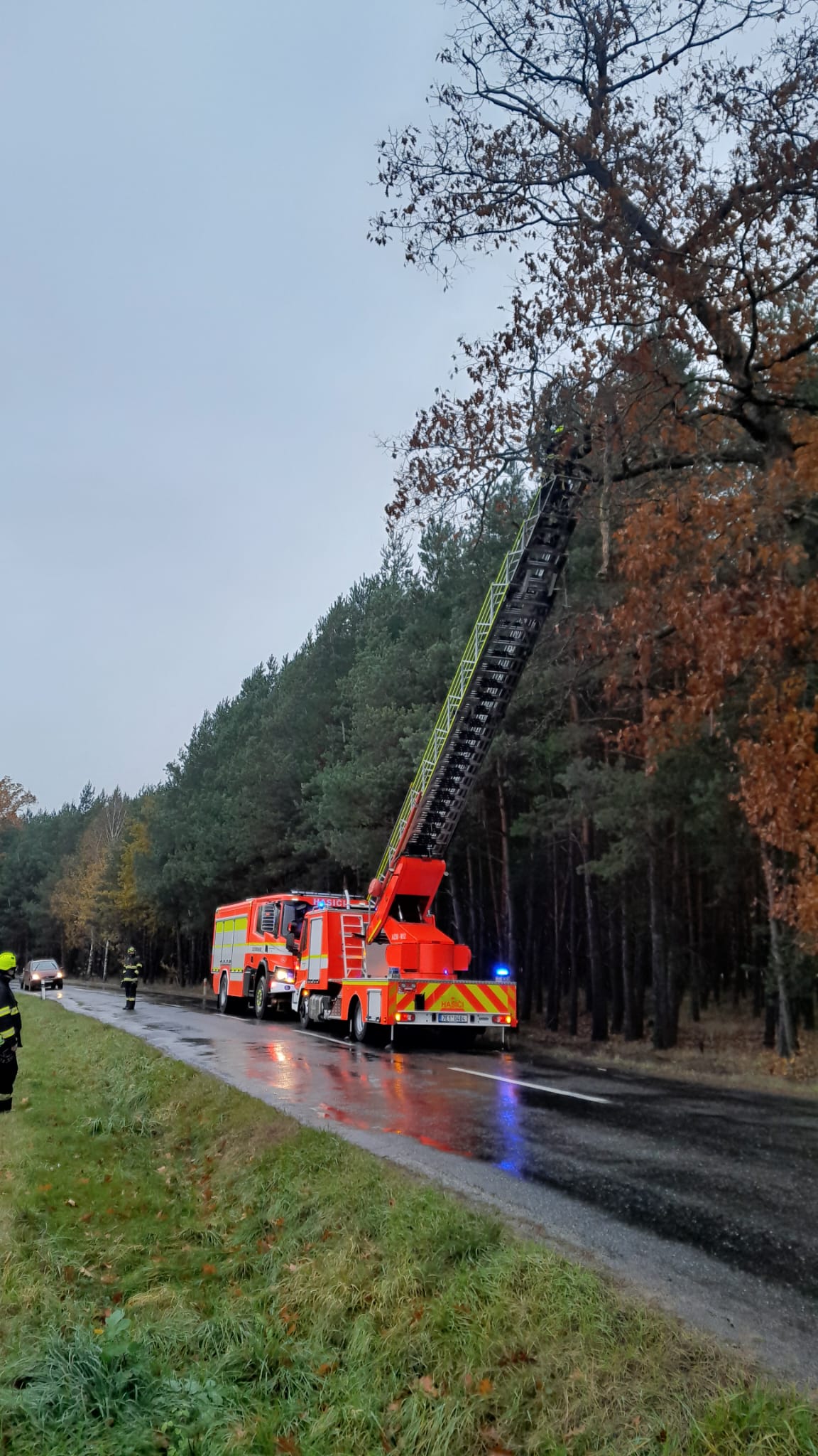 0d449c5d-af1b-4576-a83d-1dda46293d29